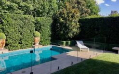 Bay Laurel (Sweet Bay) - Laurus Nobilis - 1 Gallon Pot -Plant Sale Shop Bay Laurel 7