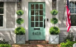 Green Mountain Boxwood 3-Ball Poodle Tier Topiary - 6 Gallon Pot -Plant Sale Shop buxus green mountain 3 ball topiary 20