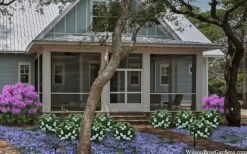 Snow Globe Gardenia - 1 Gallon Pot -Plant Sale Shop gardenia jasminoides snow globe 2