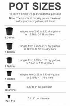 Plant Sale Shop -Plant Sale Shop pot size chart 2022 201